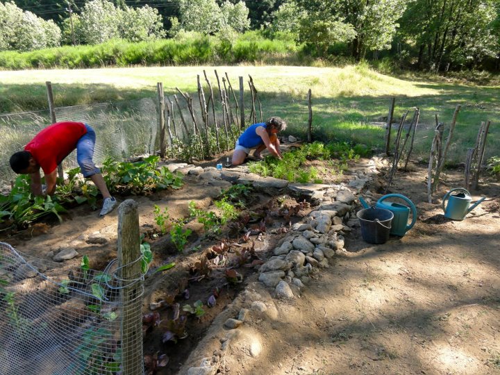  at the vegetable garden in the zen temple of Caroux