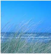 l'île d'Ameland aux Pays-Bas