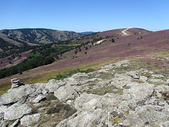 PArc du Haut Languedoc