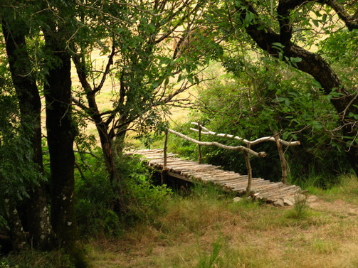 Passerelle en bois sur la rivière du temple zen Yujo Nyusanji