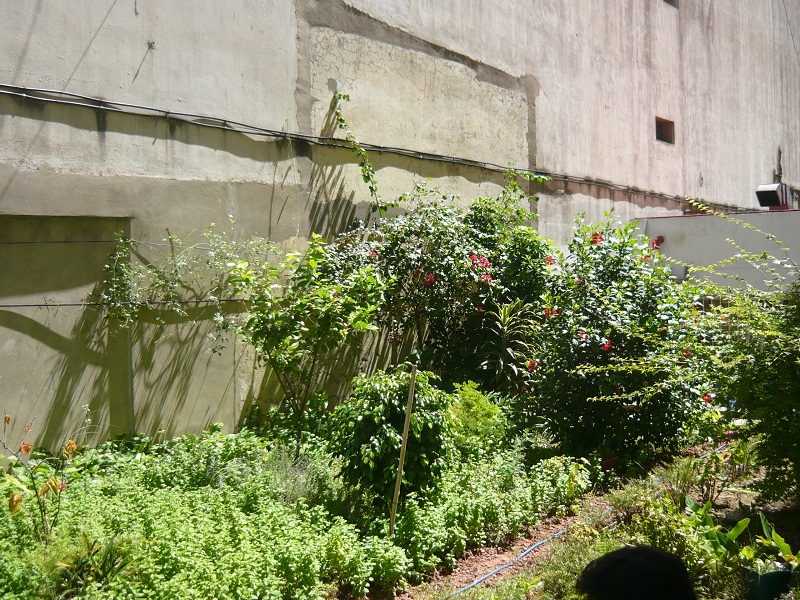 Dojo Caballito - jardin 2