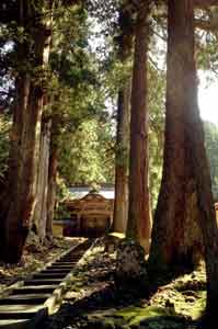 Chemin menant au dojo du temple zen Eiheiji