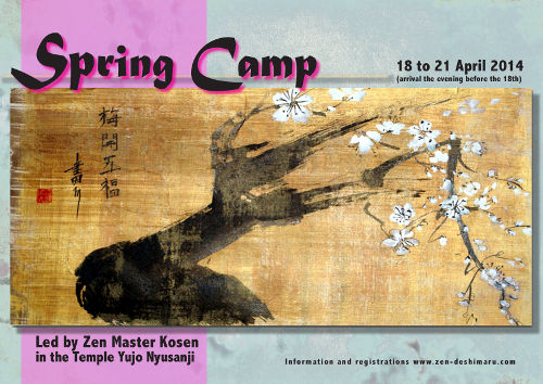 Zen Spring Camp 2014