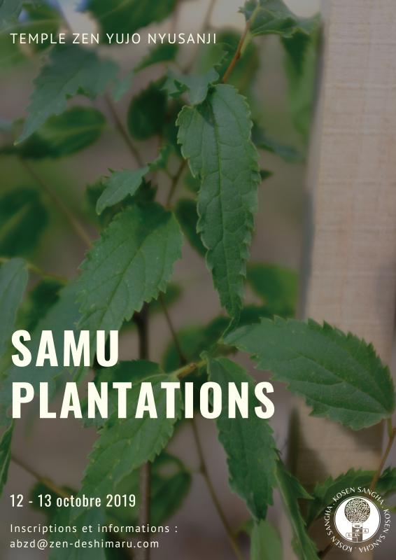 Samu plantation au temple Yujo Nyusanji (Sesshin): Zazen la méditation Zen, Temple du Caroux près de Montpellier