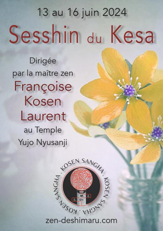 Sesshin du kesa 2024 dirigée par Maitre Françoise Kosen Laurent