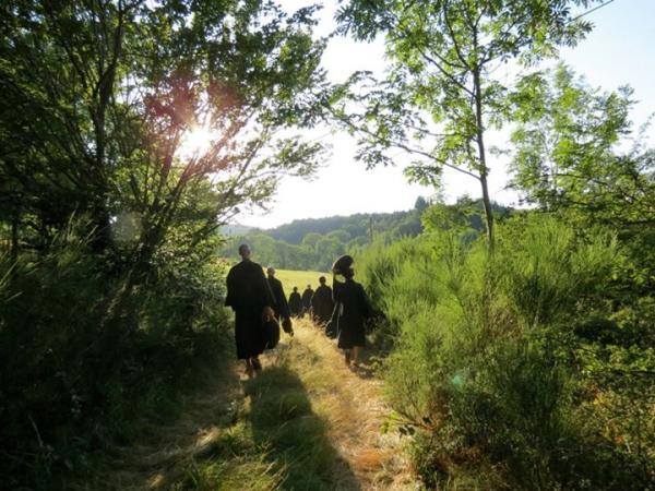 Practice at the zen temple: zazen, samu and fresh air