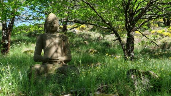 Un grand Bouddha de pierre vous accueille à l'entrée du temple zen Yujo Nyusanji