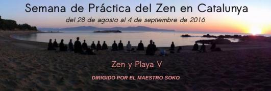 Zen playa Agosto 2016