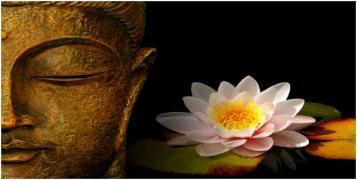  Le lotus... la position du lotus, zazen : patrimoine divin de l'humanité