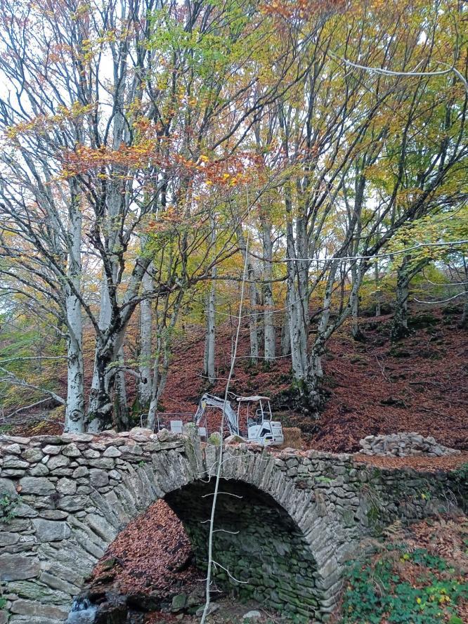 Rénovation du pont au temple