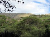 El  Uriturco, vista desde el templo  de Shobogenji.