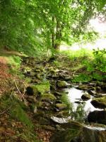 Le temple zen Yujo Nyusanji est traversé par une rivière cristalline