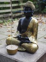 Buddha in our garden