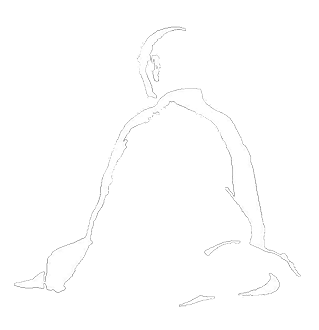 zazen_contour_330.png